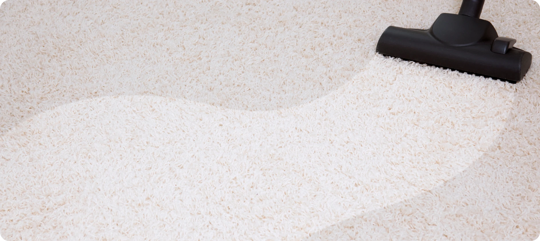 Carpet being vacuumed clean