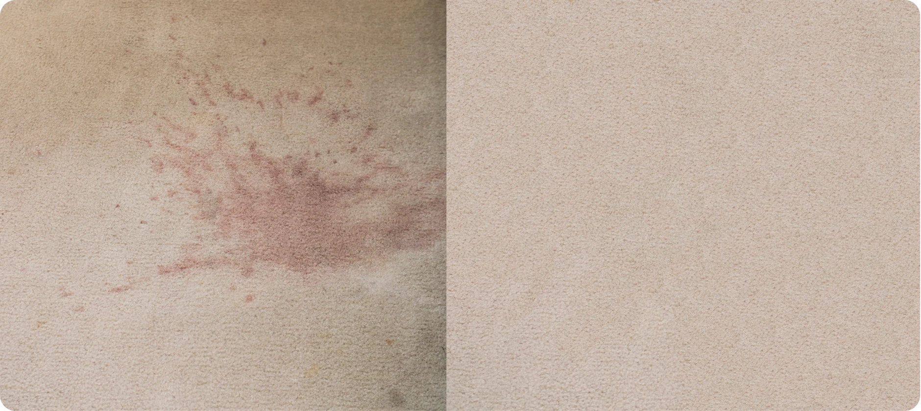 Carpet stain removal before and after